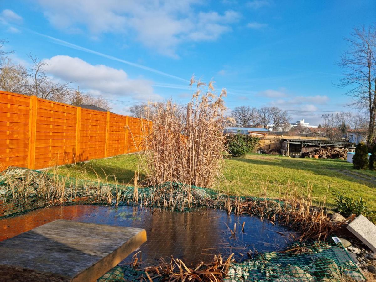 Liebevoll Eingerichtetes Haus Mit Grossem Garten In Dresden - Telefonnummer Und Video Unter Www Fhvn De Extérieur photo
